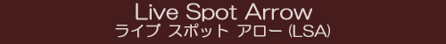 ライブスポットアローへ